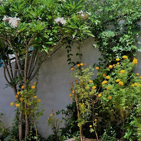Bellaxy Ceylon Acomodação com café da manhã Exterior foto